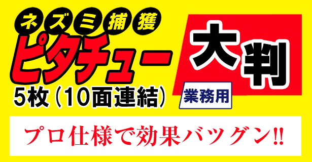 ネズミ捕り ピタチュー