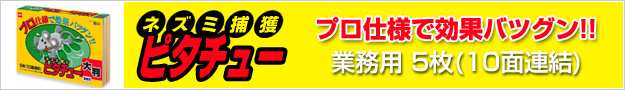 ピタチュー
